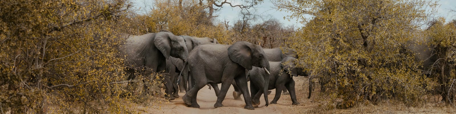 Migrating from Evernote to Obsidian